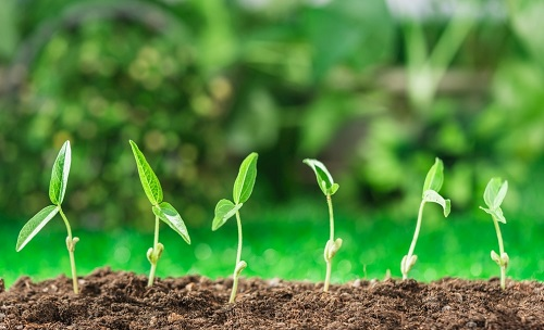 1646032915952901.png image.png