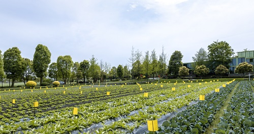 1646818937646379.png image.png