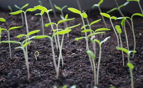 1648104007177754.png image.png