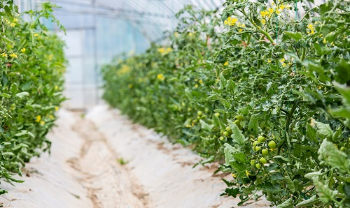 1648191791181096.png image.png