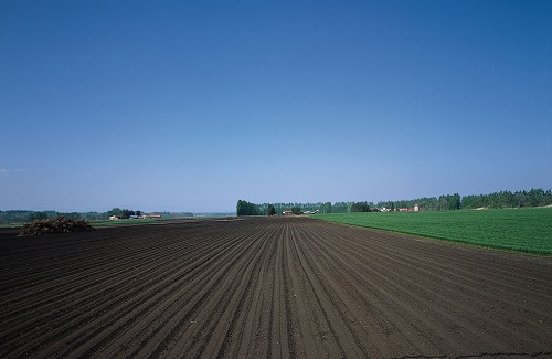 1666667861165150.png image.png