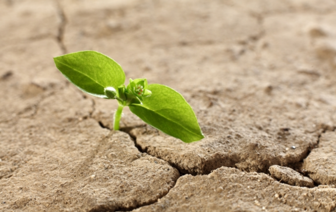 土壤肥料檢測(cè)儀怎么用？